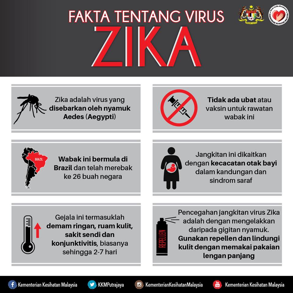 Apa Itu Virus Zika : Punca, Simptom Dan Rawatan - MySemakan